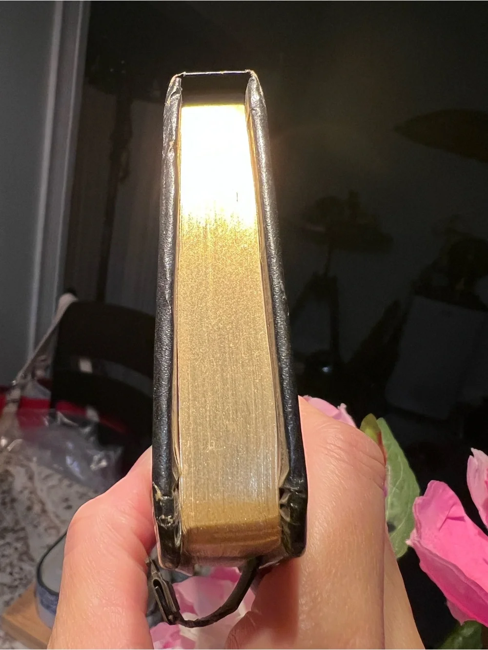 Antique One Year Diary Like new, read below